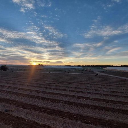 库埃瓦斯德拉尔曼索拉Hacienda Del Marques III To Chill公寓 外观 照片